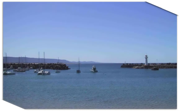 Wollongong Habour View